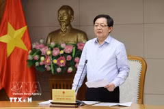 Deputy Prime Minister Ho Quoc Dung addresses the meeting on April 23. (Photo: VNA)