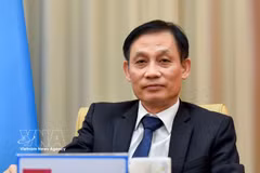Minister of Foreign Affairs Le Hoai Trung (Photo: VNA)