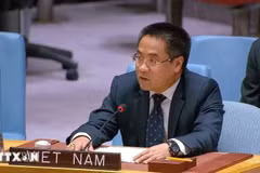 Minister-Counsellor Nguyen Hai Luu, Deputy Permanent Representative of Vietnam to the UN (File photo. Source: VNA)