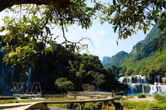 Ban Gioc Waterfall is one of Cao Bang’s prominent tourist attractions. (Photo: VNA).