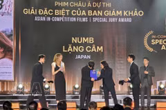 Winning films are honoured at the DANAFF closing ceremony (Photo: VNA)