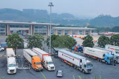A digital border gate platform is under pilot since August 2023 at Kim Thanh International Land Border Gate No. 2 (Photo: VNA)