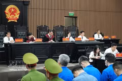 At the trial (Photo: VNA)