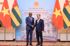Deputy Prime Minister and Minister of Foreign Affairs Bui Thanh Son (R) welcomes Prof. Robert Dussey, Minister of Foreign Affairs, African Integration and Togolese Abroad of Togo (Photo: VNA)