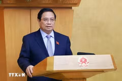 Prime Minister Pham Minh Chinh speaks at the Government’s April regular meeting (Photo: VNA)