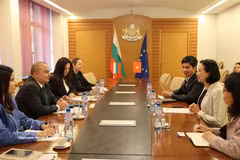 An overview of the meeting (Photo: VNA)