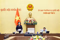 NA Vice President Nguyen Thi Hong speaks at the meeting (Photo: VNA)