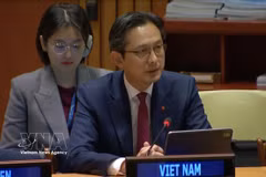 Ambassador Do Hung Viet, Vietnam’s Permanent Representative to the United Nations (Photo: VNA)