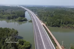 A view of Ben Luc–Long Thanh Expressway section passing through the mangrove forest in Dong Nai province (Photo: VNA) 