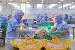 Workers process seafood for export. (Photo: VNA)