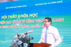 Le Xuan Dinh, Deputy Minister of Science and Technology, addresses the event (Photo: VNA)