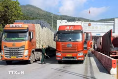 Goods transported via Chi Ma border gate in northern Lang Son province. (Photo: VNA)