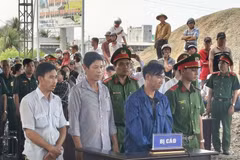 At a mobilse trial in Song Doc commune, Ca Mau province on November 12. (Photo: VNA)