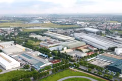Resolution helps drive foreign direct investment into green economy