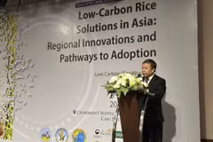 Director General of the Vietnam Academy of Agricultural Sciences Nguyen Hong Son speaks at the workshop. (Photo: baochinhphu.vn)