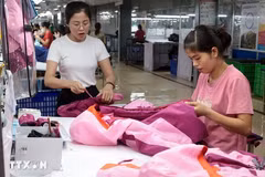 Garments for export to the EU market being produced at TNG Garment Corporation. (Photo: VNA)