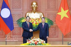 Vietnam, Laos deepen cooperation, concretise strategic cohesion