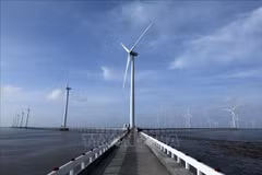 A view of Bac Lieu wind power plant in the Mekong Delta province of Bac Lieu . (Photo: VNA)