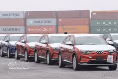 VinFast electric cars are gathered at Hai Phong Port, ready to be loaded onto a ship for export. (Photo: VNA)