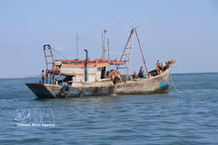 Fishing vessels in Ca Mau placed under strict control (Photo: VNA)