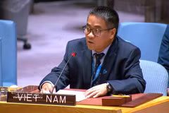 Minister Counsellor Nguyen Hai Luu, Deputy Permanent Representative of Vietnam to the UN speaks at the debate (Photo: VNA)