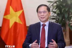 Deputy Prime Minister Bui Thanh Son (Photo: VNA)