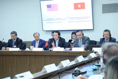 Vietnamese delegation at the dialogue. (Photo: VNA)
