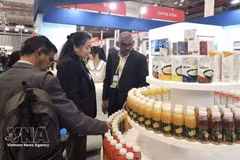 International buyers explore products at the Vietnam International Sourcing Expo 2025. (Photo: VNA)