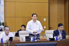 General Secretary of the National Assembly (NA), Chairman of the NA Office and Chief of the National Election Council (NEC) Office Le Quang Manh (Photo: VNA)