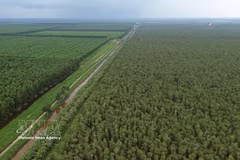 An aerial view of U Minh Ha National Park (Photo: VNA)