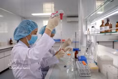 Researchers at the Institute of Vaccines and Medical Biologicals under the Ministry of Health conduct research and testing on vaccines. (Photo: VNA)