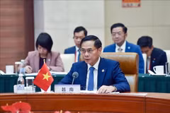 Deputy Prime Minister and Minister of Foreign Affairs Bui Thanh Son speaks at the event (Photo: VNA)