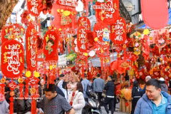 A corner of Hang Luoc Flower Market in the days leading up to Tet (Photo: VNA) 
