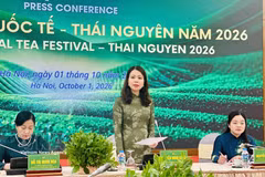 Deputy Foreign Minister Nguyen Minh Hang (centre) speaks at an international press conference in Hanoi on October 1 (Photo: VNA)