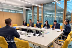 The Vietnamese Ministry of Public Security's delegation holds a discussion with representatives of the WIPO's Advisory Committee on Enforcement. (Photo: VNA)