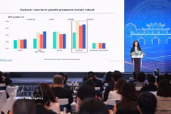 Tehmina Khan, the World Bank's Lead Economist for Vietnam, Cambodia and Laos, speaks at the event (Photo: VNA)