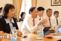 Vice Secretary of the Party Committee and Chairman of the People’s Committee of Gia Lai province Pham Anh Tuan speaks at a meeting with the Vietnamese Embassy in Germany (Photo: VNA)