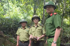 The rare elongated tortoise is released back into the wild at the Pu Hoat Nature Reserve in Nghe An province on June 29. (Photo: suckhoedoisong.vn)