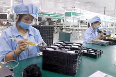 Illustrative image. Oxford Economics forecast Vietnam’s gross domestic product (GDP) growth will reach 6.7% this year and 6.5% next year, driven by a strong manufacturing sector and a rapid recovery in domestic demand. (Photo: VNA)