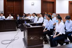 An overview of the appellate hearing, which opens on May 6 (Photo: VNA)