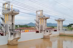 An Giang province closes the Tra Su Sluice to block flooding, helping downstream farmers complete harvest of their summer-autumn rice and begin sowing the autumn-winter crop on schedule. (Photo: VNA)