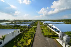 The Loc Ninh farm, operated by CP Vietnam in Binh Phuoc province, is one of the company’s main swine breeding facilities. (Photo: bangkokpost.com) 