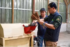 Indonesia boosts value of local food products