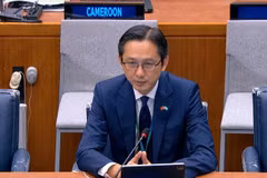 Ambassador Do Hung Viet, Permanent Representative of Vietnam to the UN (Photo: Permanent Mission of Vietnam to the UN)