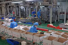 Long Hai Co., Ltd., located in Industrial Cluster No. 1 of Thach Khoi ward, Hai Phong city, produces hundreds of tonnes of products annually for both domestic consumption and export. (Photo: VNA)