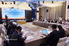 Participants in the meeting held in Da Nang city. (Photo: VNA)
