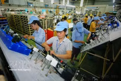 Manufacturing electrical and electronic components at Minda Vietnam Automotive Co., Ltd, an Indian-invested company in Phu Tho province. ( File Photo: VNA)