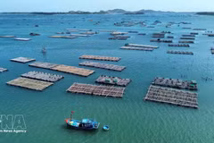 Mariculture – new growth driver for Vietnam’s ocean economy (Photo: VNA)