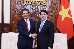 State President Luong Cuong (R) hosts a reception for Japanese Ambassador to Vietnam Ito Naoki in Hanoi on June 6. (Photo: VNA)