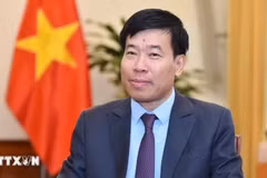 Deputy Minister of Foreign Affairs Nguyen Manh Cuong (Photo: VNA)